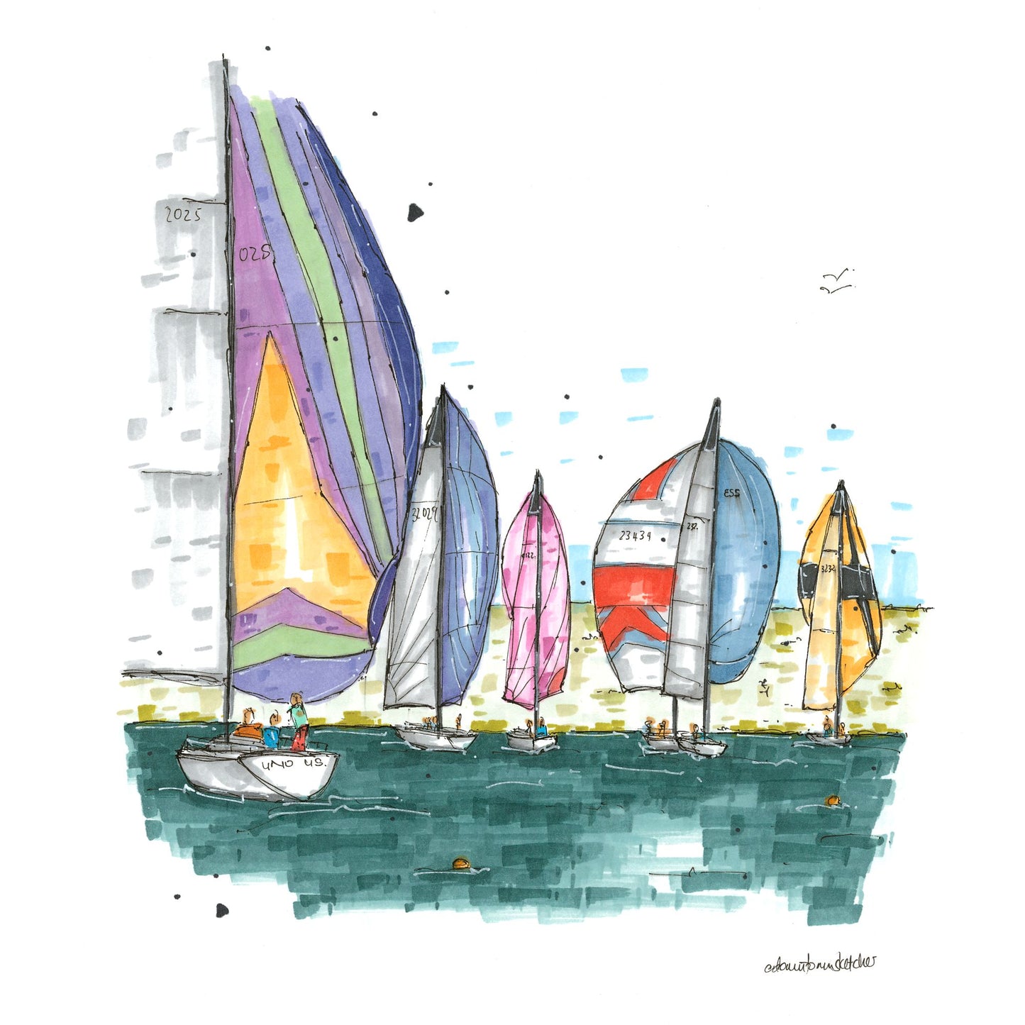 Baddeck Regatta, Cape Breton Island, Greeting Card - Downtown Sketcher