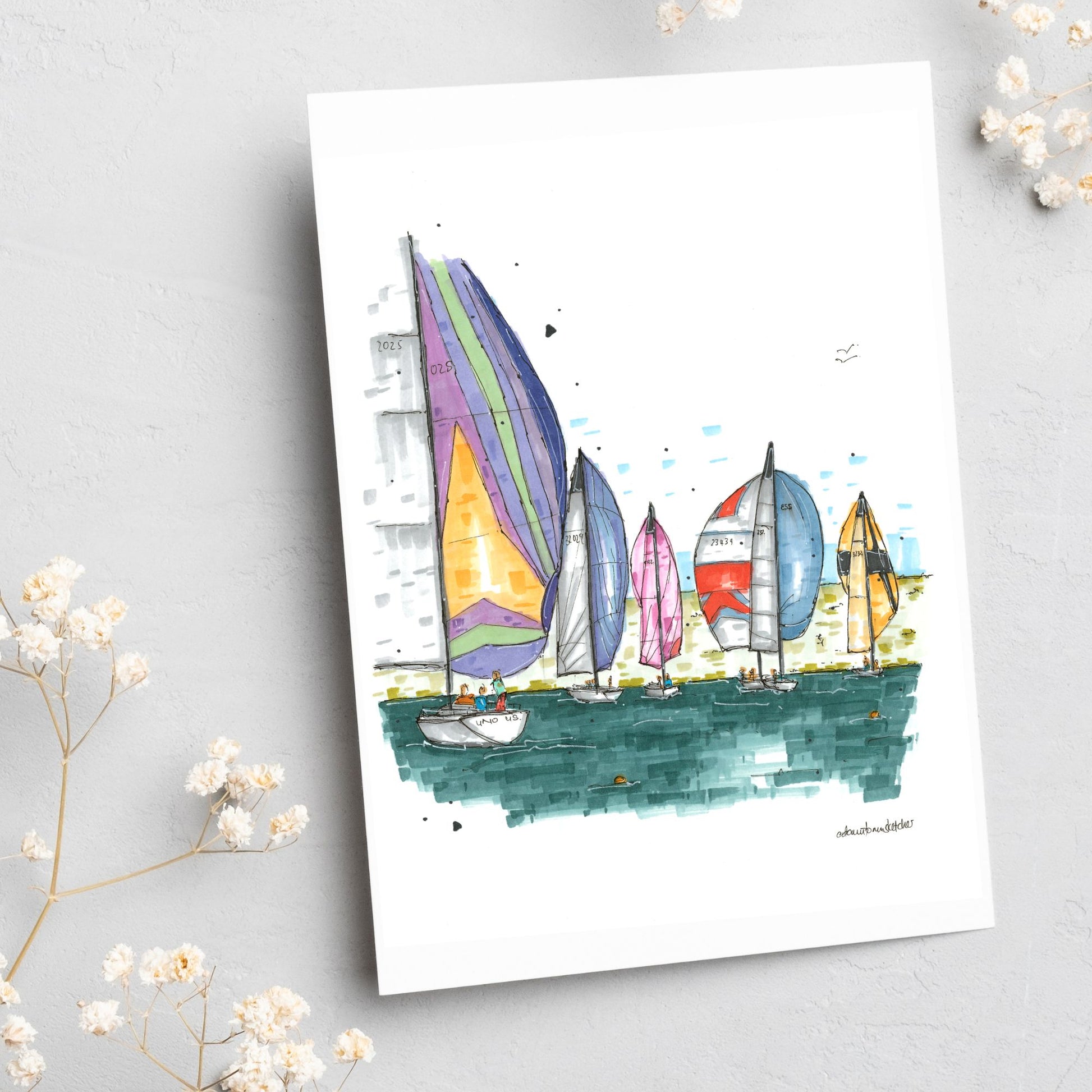 Baddeck Regatta, Cape Breton Island, Greeting Card - Downtown Sketcher